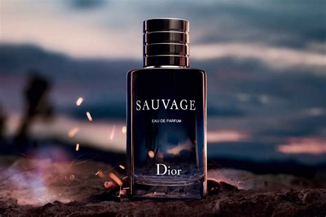 dior - sauvage parfum|what does Dior Sauvage smell like.